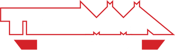 The Styles of MMA
